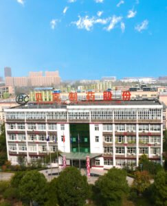 Anhui Biochem United Pharmaceutical Co Ltd