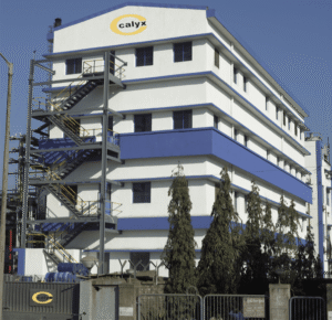 Calyx Chemicals and Pharmaceuticals Ltd