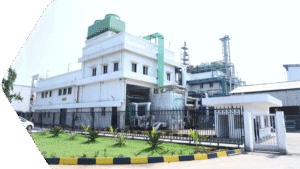 Blue Jet Healthcare Ltd