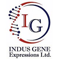 Indus Gene