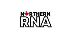 Northern RNA