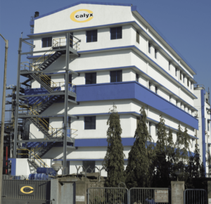 Calyx Chemicals and Pharmaceuticals Ltd