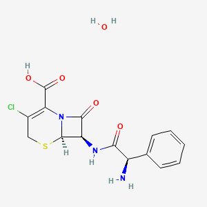 Cefaclor monohydrate
