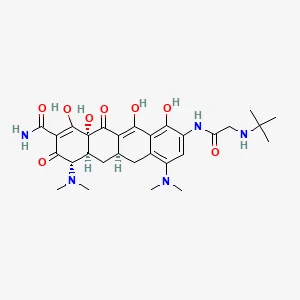 Tigecycline