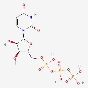 Uridine 5′-triphosphate