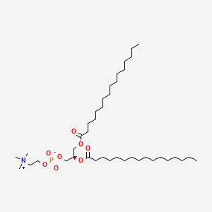 Phospholipid DPPC