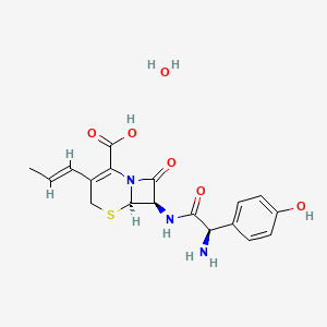 Cefprozil monohydrate