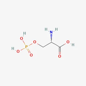 Phospho-L-serine
