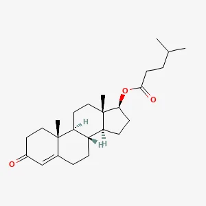 Testosterone isocaproate