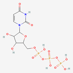 Uridine triphosphate (UTP)