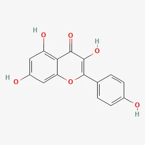 Kaempferol