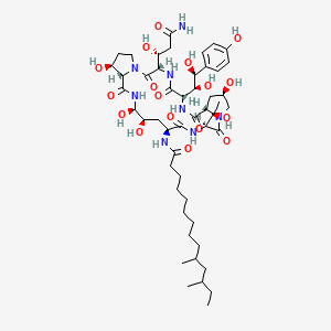 Hydroxy echinocandin