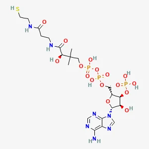 Coenzyme A